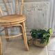 Cache-pot rotin et laiton vintage
