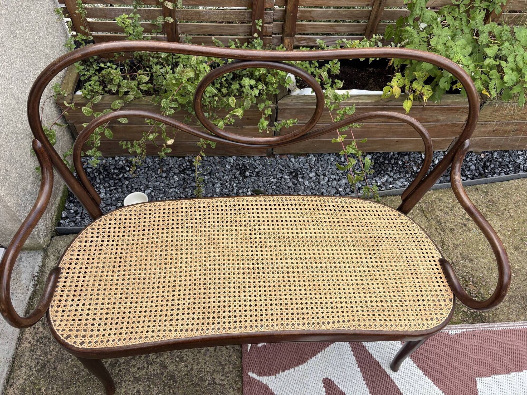 Antique Thonet bench in bent wood and caning, signed.