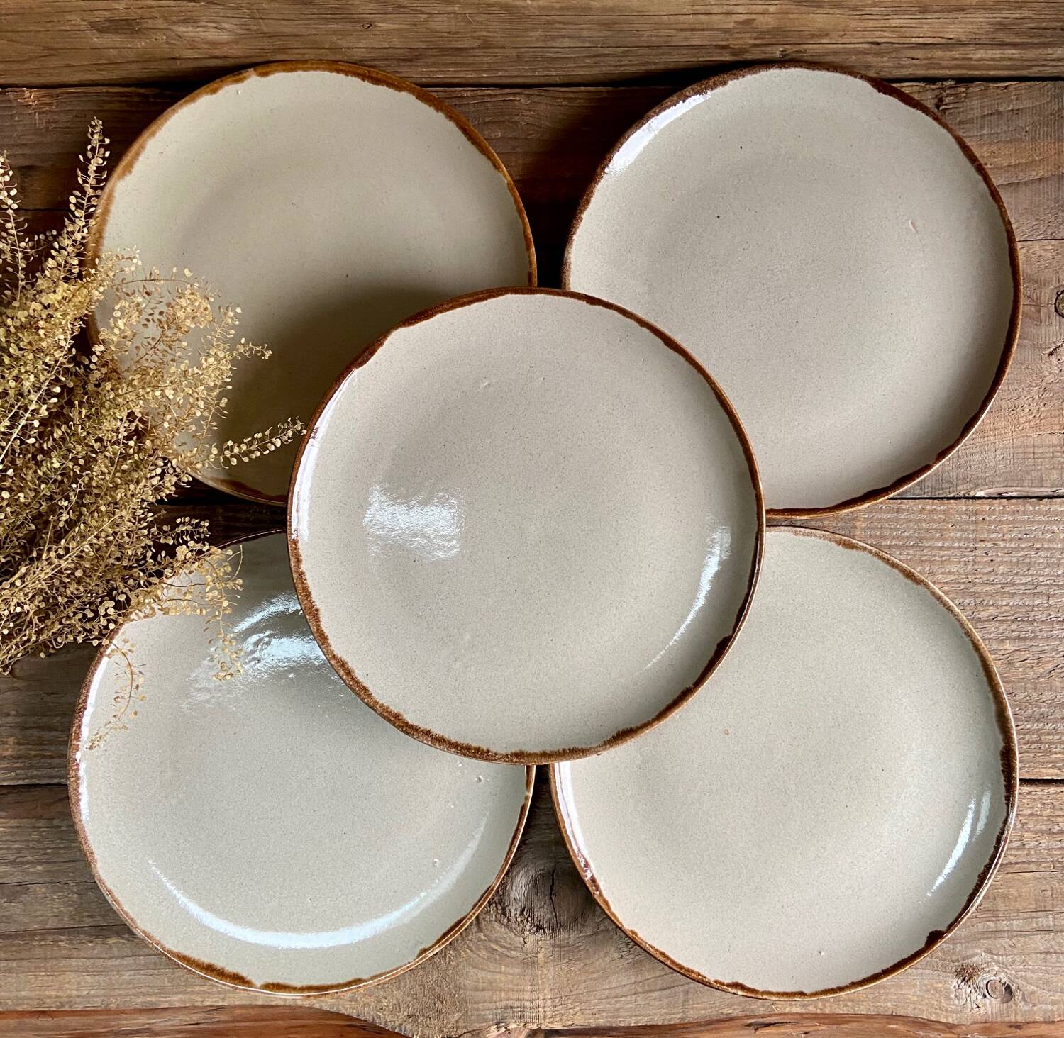 5 stoneware plates