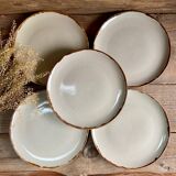 5 stoneware plates