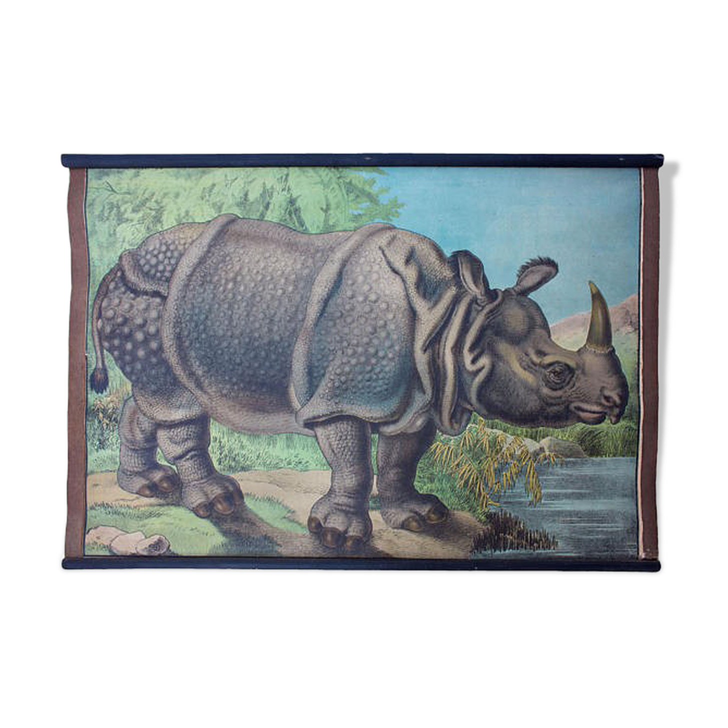 Affiche "rhino"  lithographie Karl Jansky Böhmen 1897