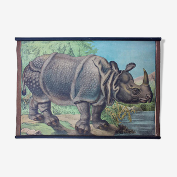 Affiche "rhino"  lithographie Karl Jansky Böhmen 1897