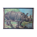 Affiche "rhino"  lithographie Karl Jansky Böhmen 1897
