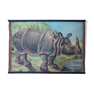 Poster "rhino" lithograph Karl Jansky Böhmen 1897