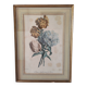 Gravure botanique XIX siècle bouquet de fleurs encadrement parisien
