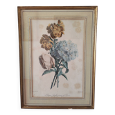 19th century botanical engraving bouquet of flowers Parisian framing