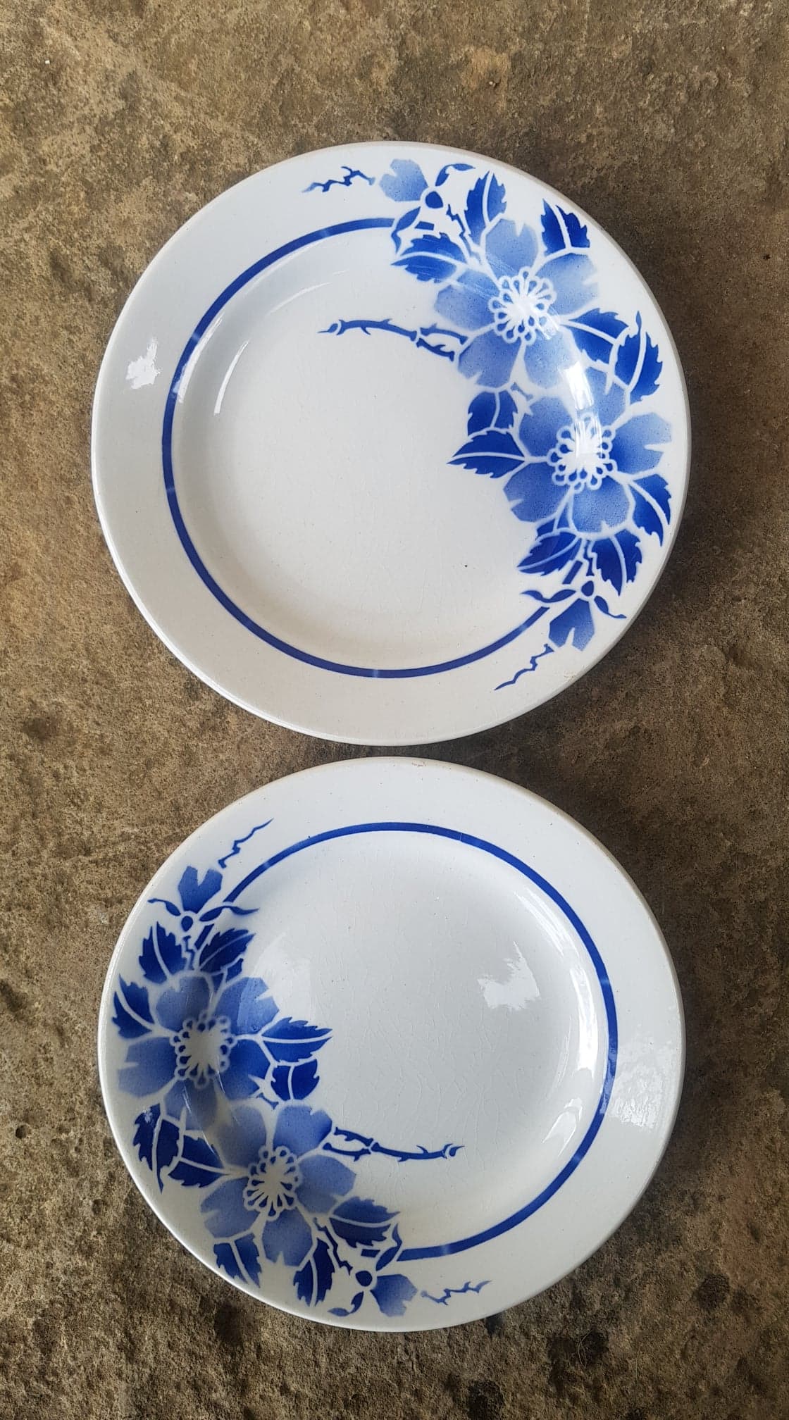 Set of 2 plates Moulin des Loups model Eglantine