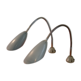 Pair of flexible industrial lamps