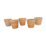 Lot of 5 terracotta pots circa 1930 graineterie