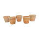 Lot of 5 terracotta pots circa 1930 graineterie