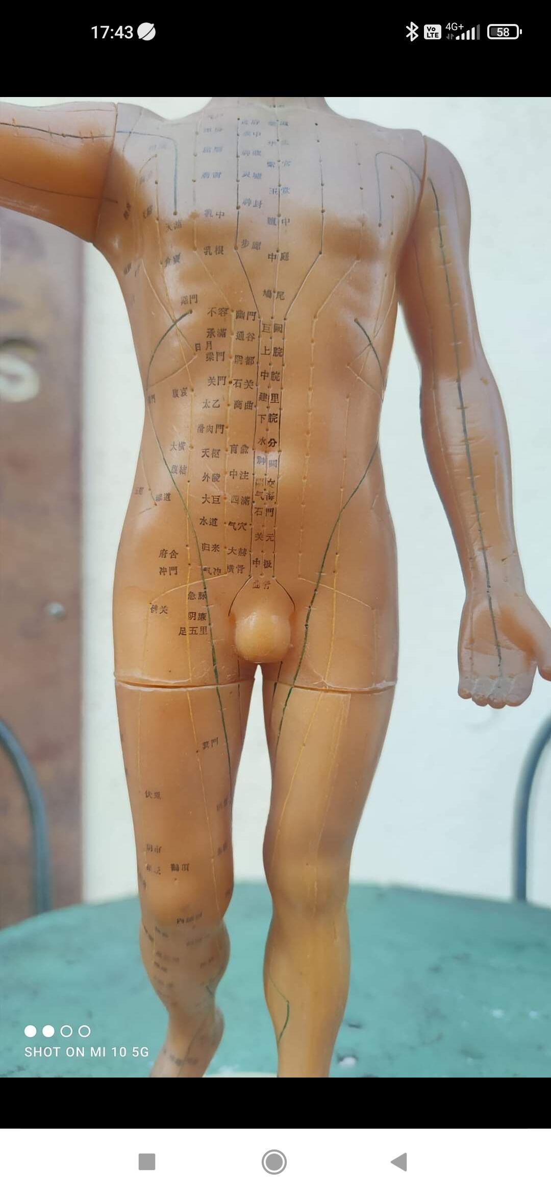 Acupuncture mannequin circa 1960