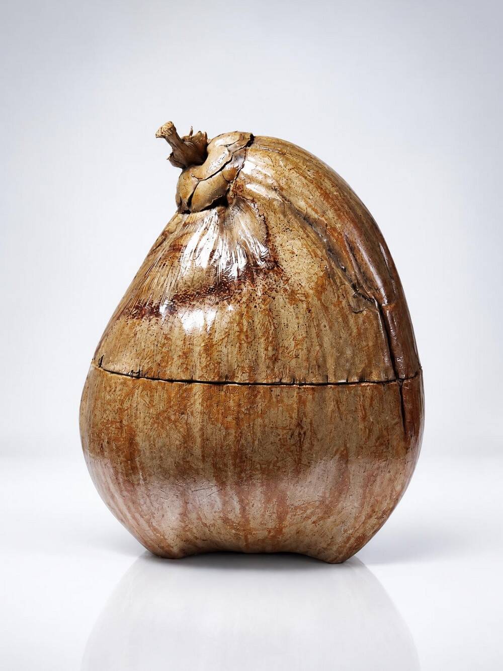 Curiosity vintage box from the 50s-60s, naturalised coconut ice bucket.