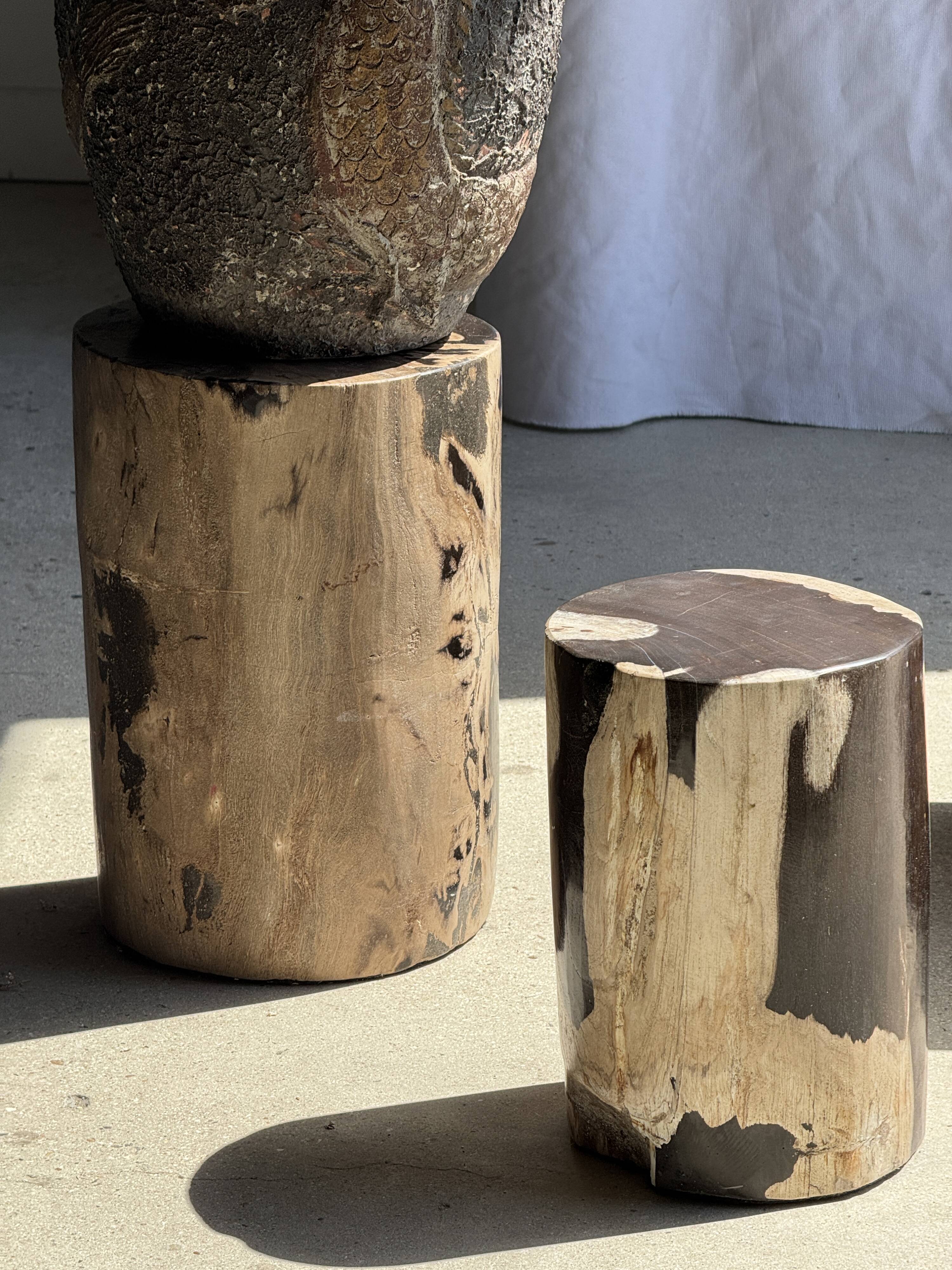 Brown and black petrified wood side table H35 D27 - 3333