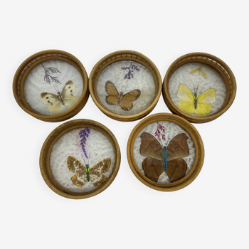 Suite de 5 sous-verres papillons