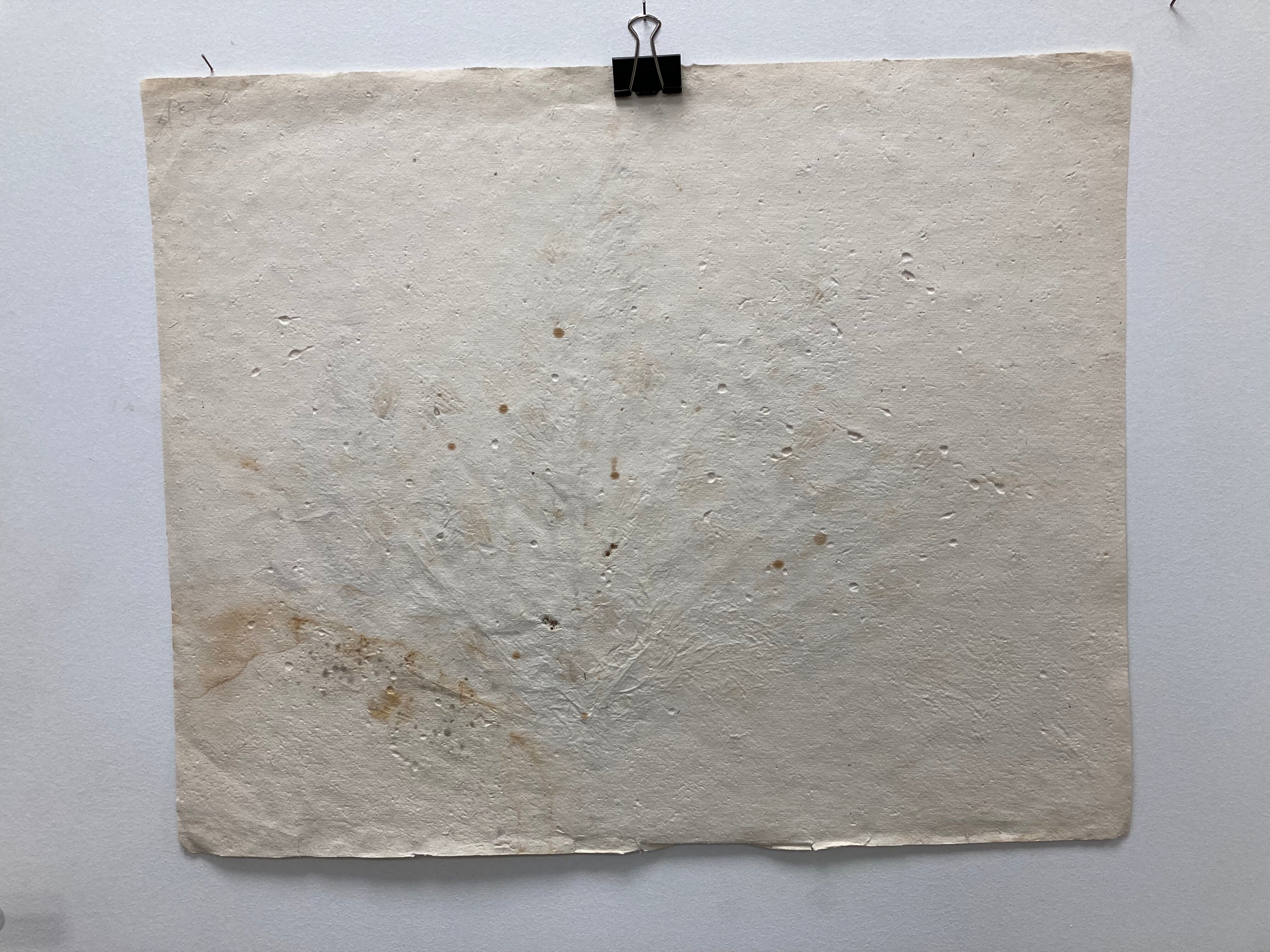 Vintage dried flower board