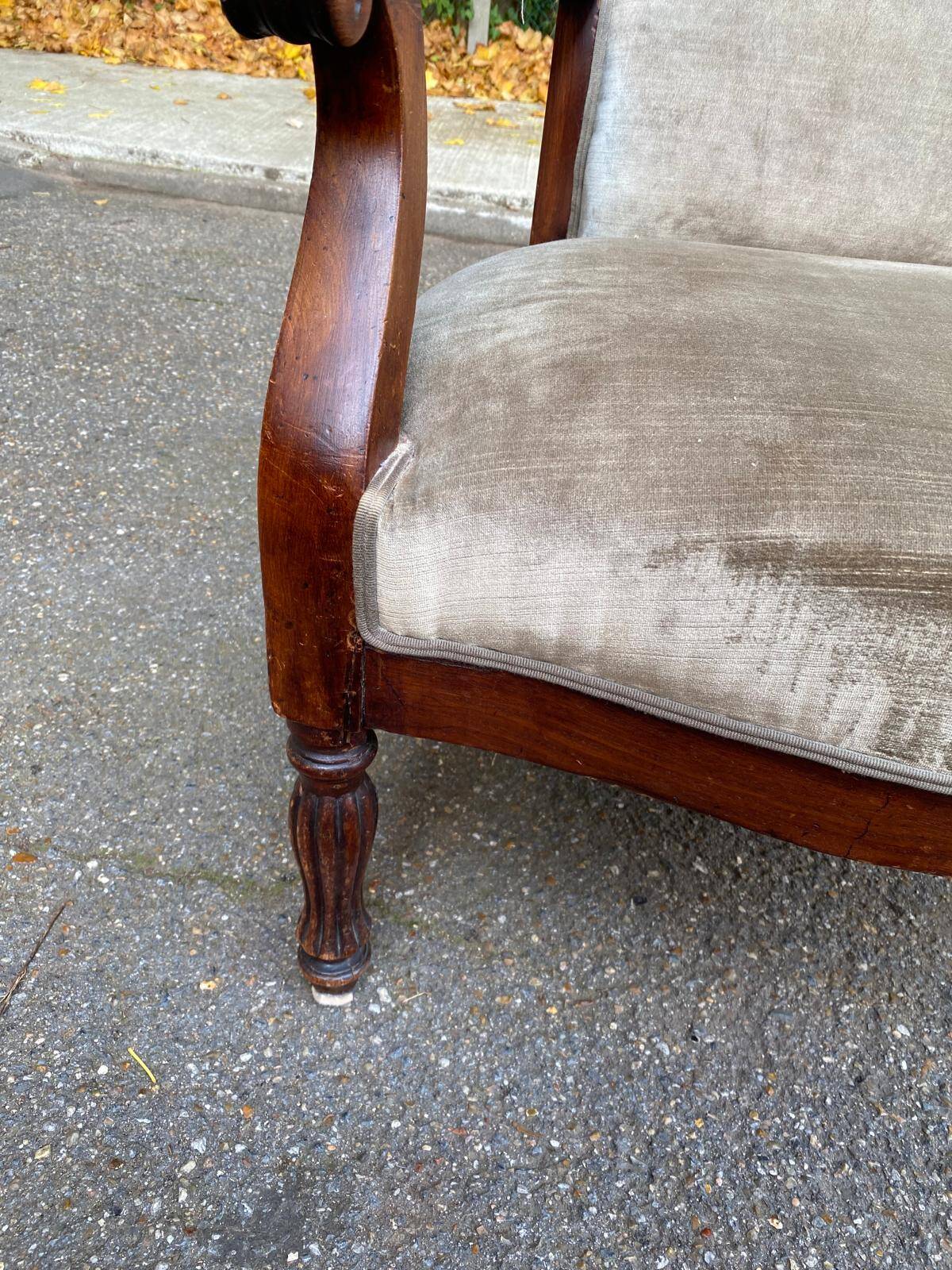 Imperial armchair in mahogany and grey velvet from the 19th century