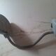 Desk lamp