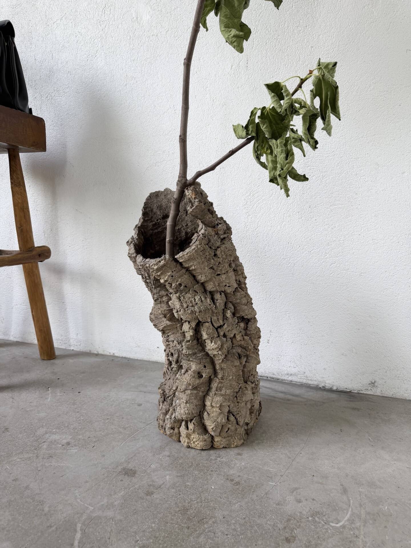 XL cork bark vase