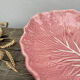 Slip pink cabbage leaf flat empty pocket