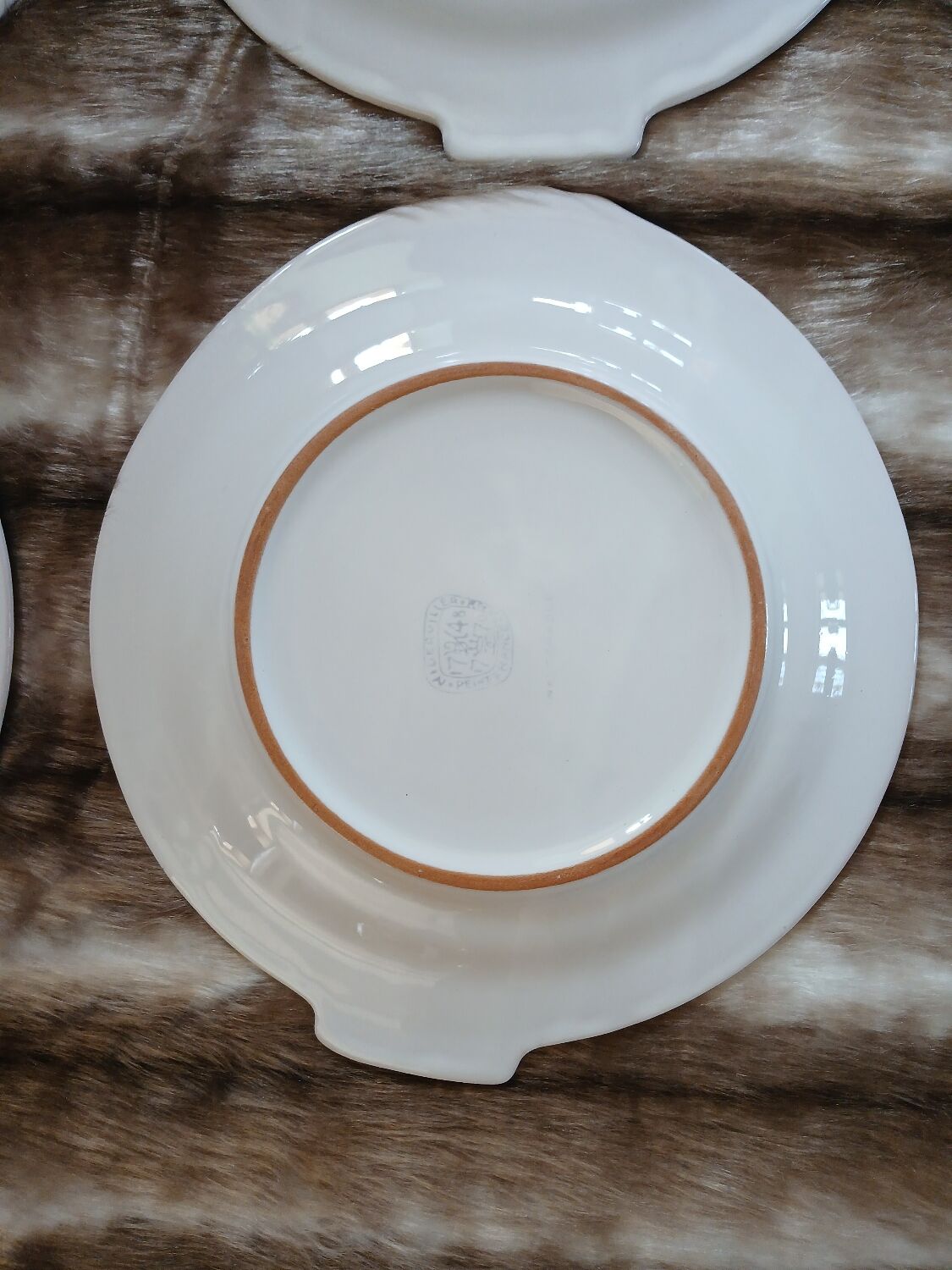 12 flat plates in earthenware/fish