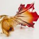 Murano glass vase by Fratelli Toso signed Murano orange and red