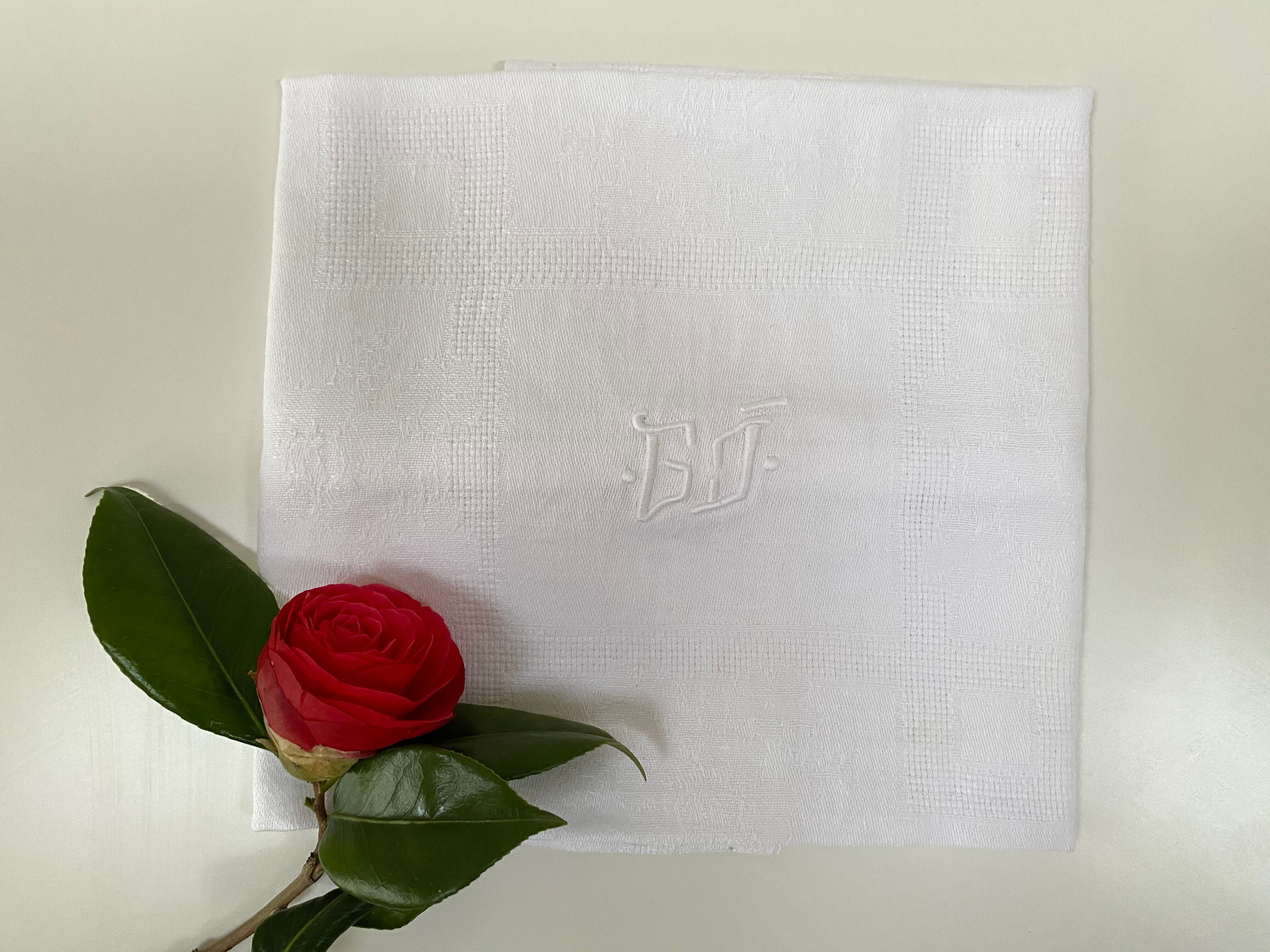 Set of 2 monogram napkins BG and GJ