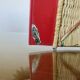 Chistera decoration Basque Country 60s
