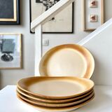 Set of 5 enamelled sandstone plates