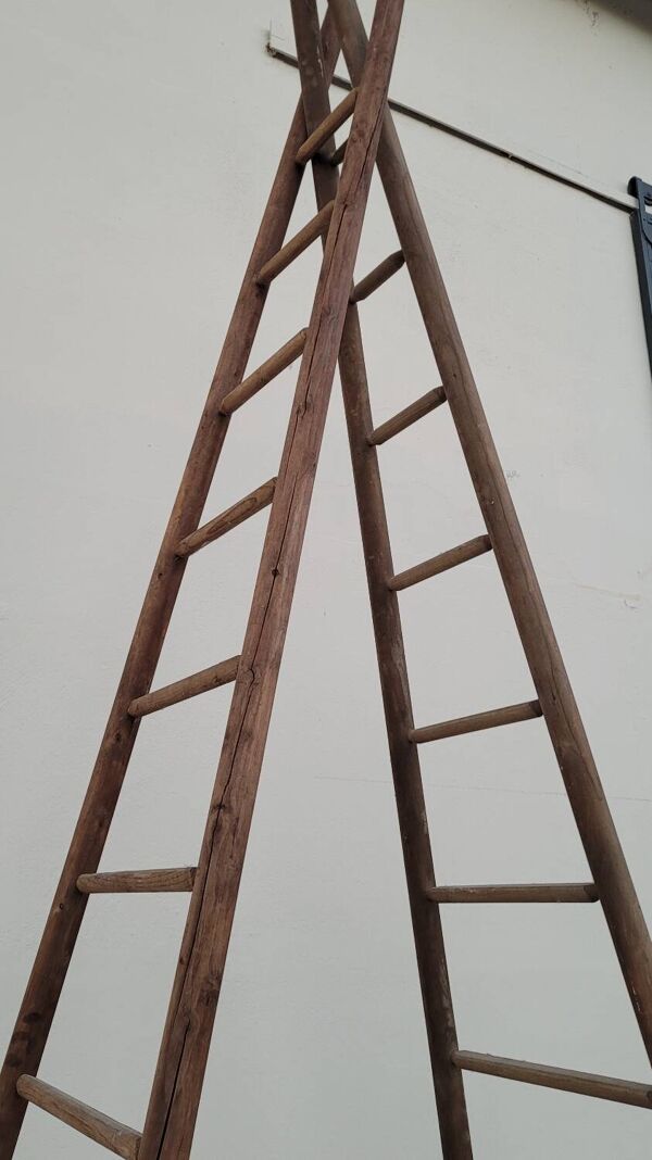 Echelle double de maraîcher récolte fruitière cueillette ancienne en bois -3m65