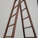 Double ladder for market gardening, fruit harvest, old wooden picking - 3m65