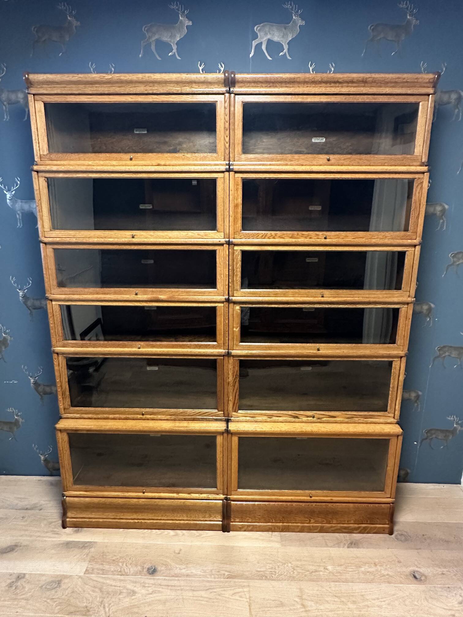 Large Glob Wernicke Bookcase
