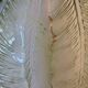 Plat vintage feuille de chou