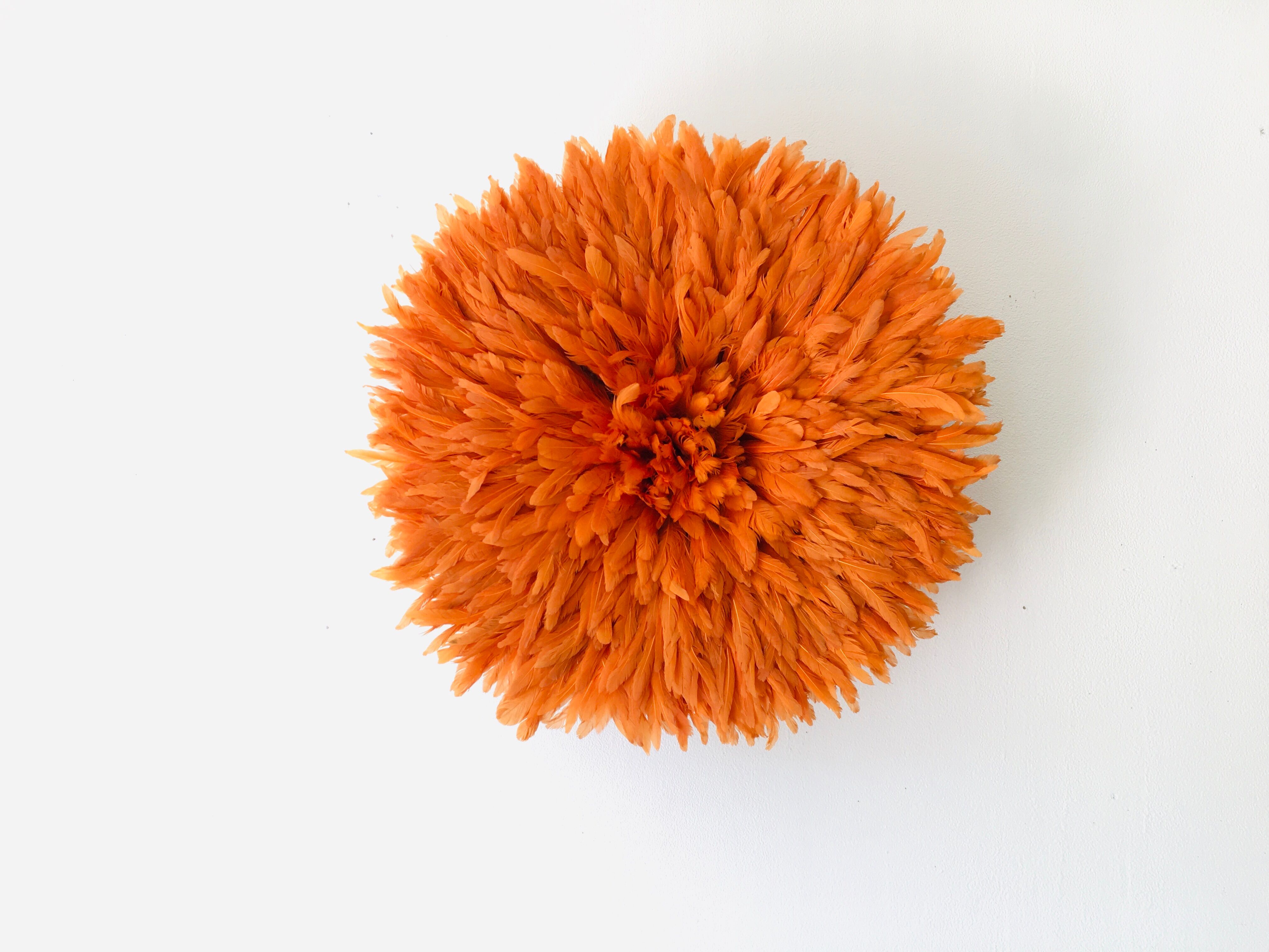 Jujuhat orange 50 cm