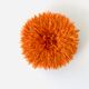 Jujuhat orange 50 cm