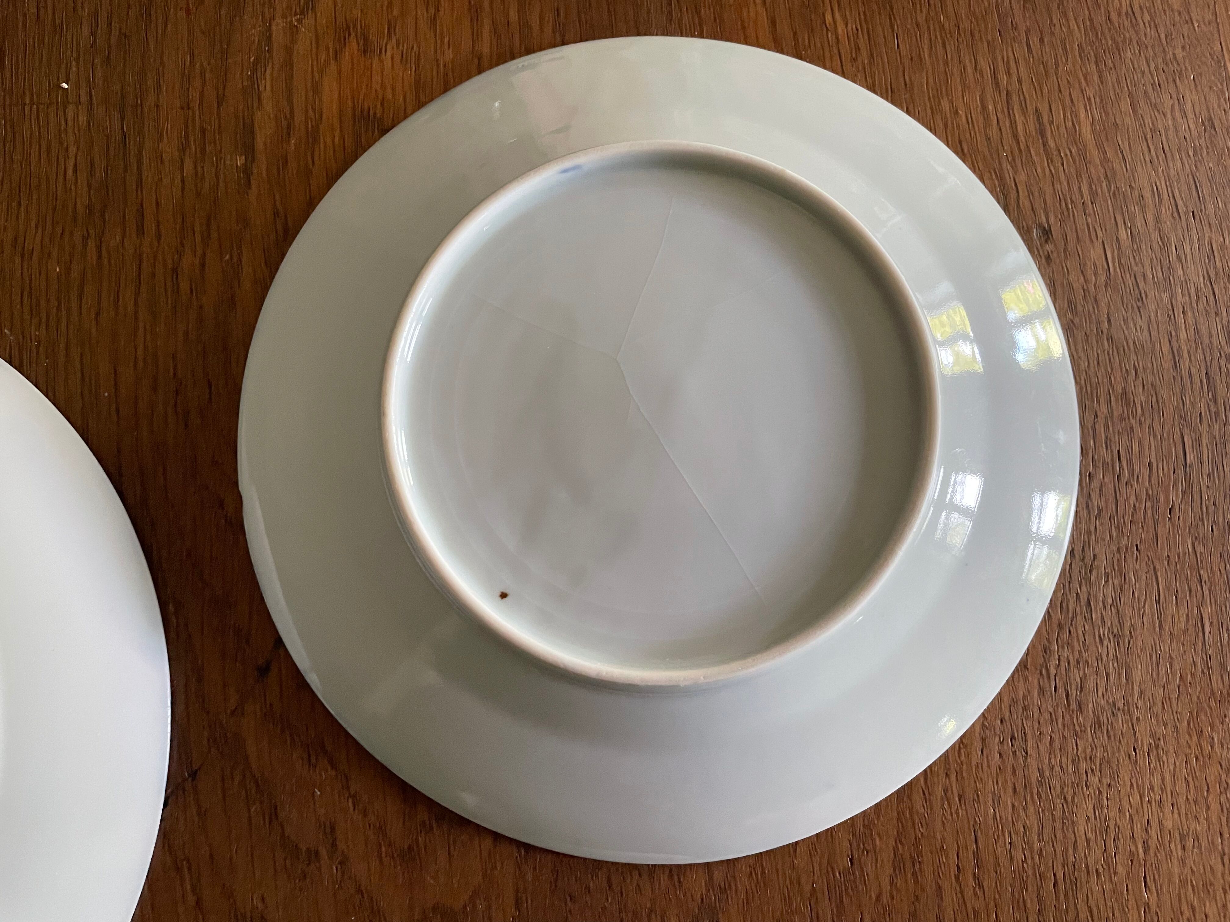 Asian porcelain plates decorated with blue dragons