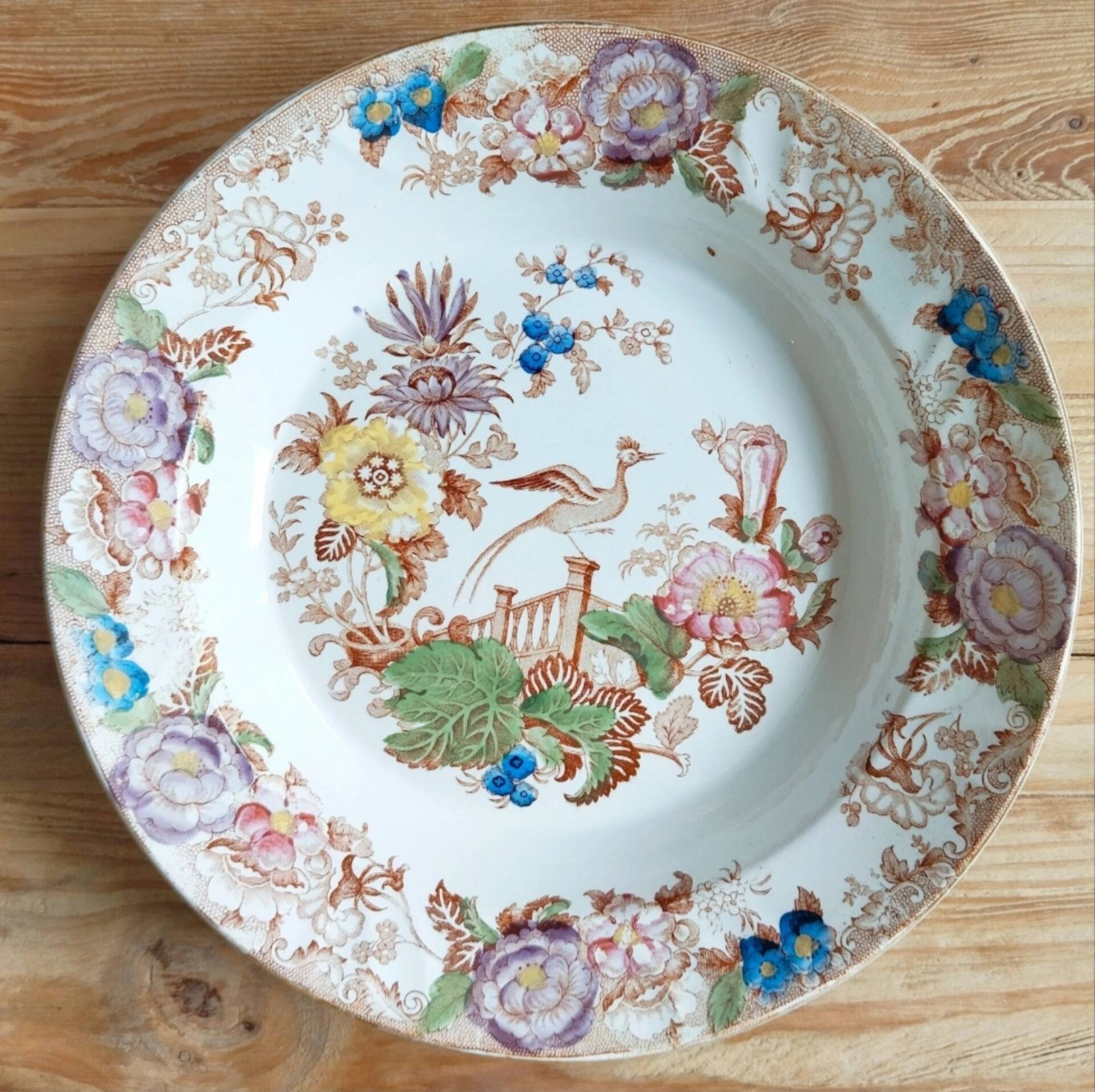 Set of 2 antique Longwy plates - Anemone model / Anemones