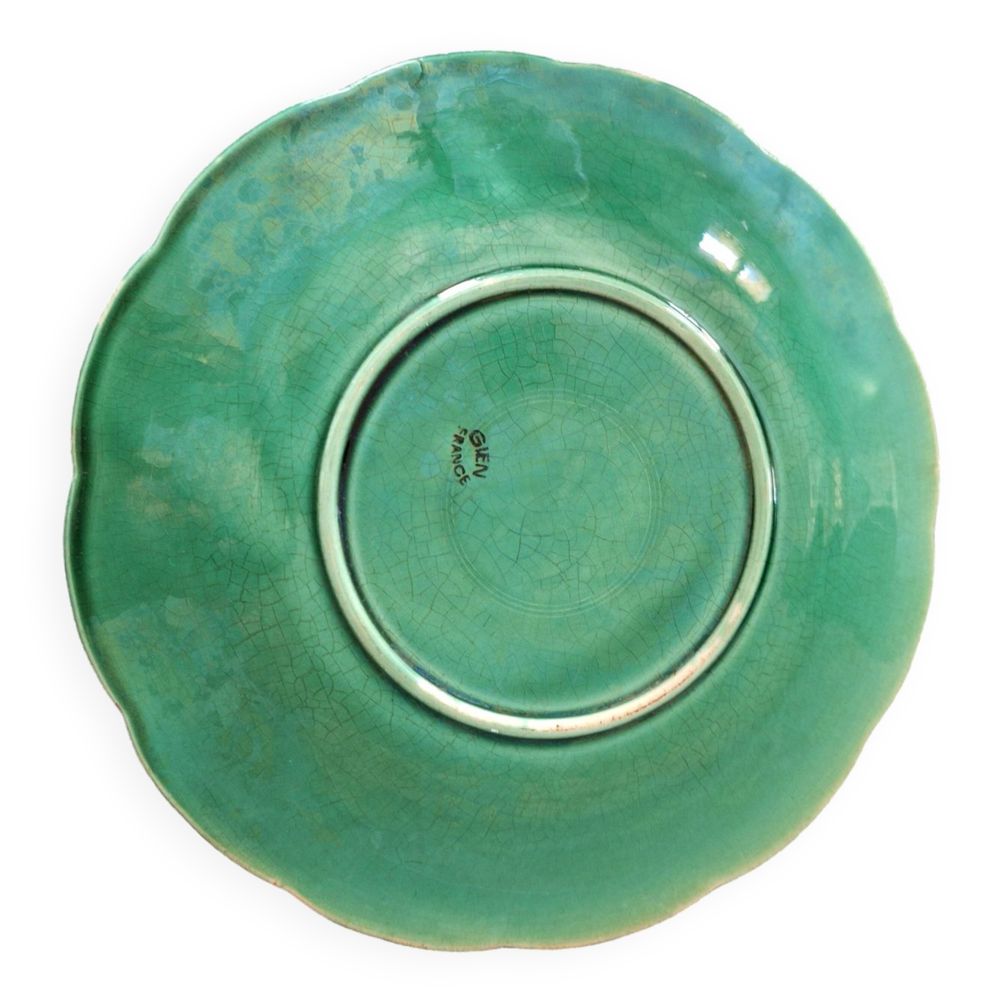 Green plate leaf of gien france