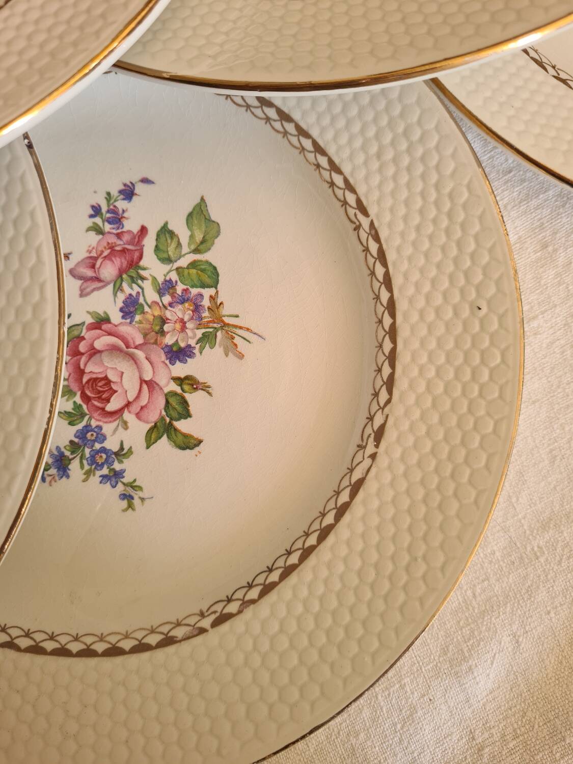 Amandinoise flowered dinner plates