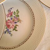 Amandinoise flowered dinner plates