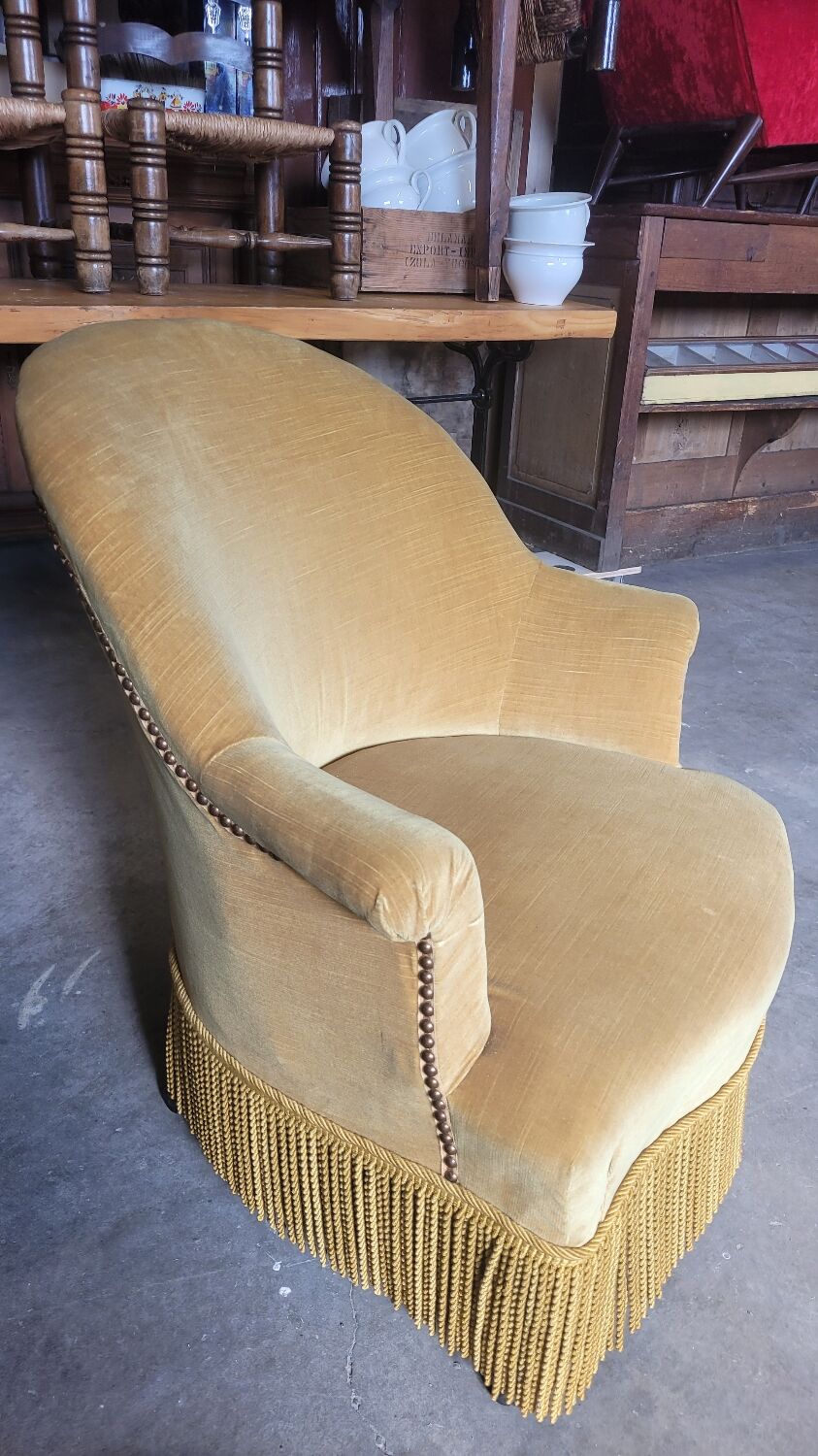 Toad armchair velvet period Napoleon III 19th