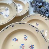 6 vintage K&G Luneville "Flore" porcelain soup plates, 1950s, small blue flowers