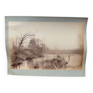 Photo albumine contrecollée