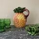 Pineapple slurry pitcher