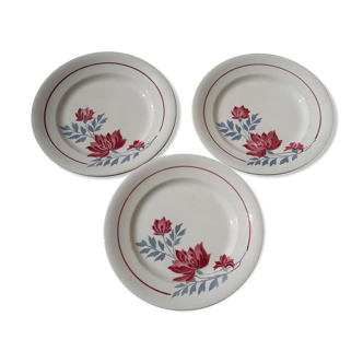 Set de 3 assiettes à dessert en faïence de Longwy  modèle Véronique diam 21 cm