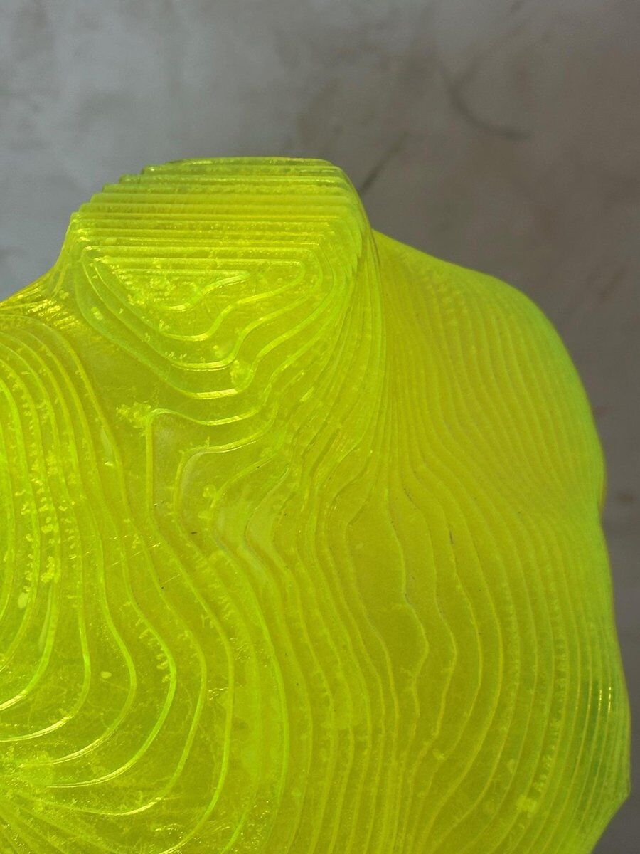 Acrylic male bust by Olivier Duhamel