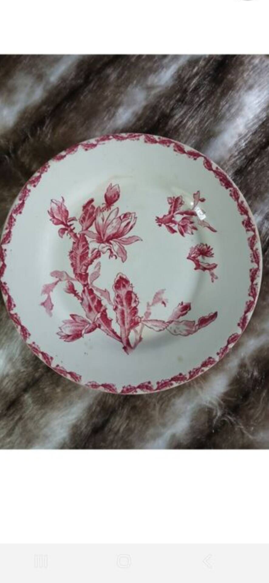 10 antique flat plates in ironstone