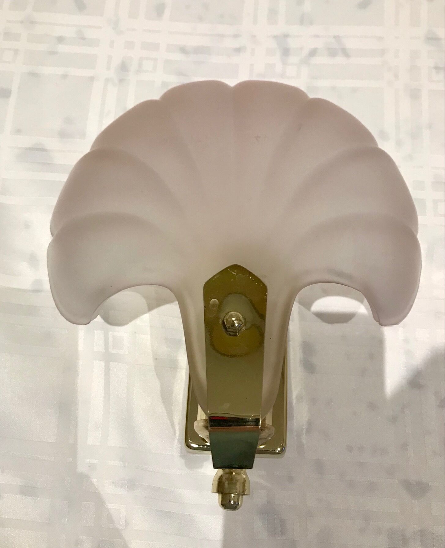 Pair of shell sconces