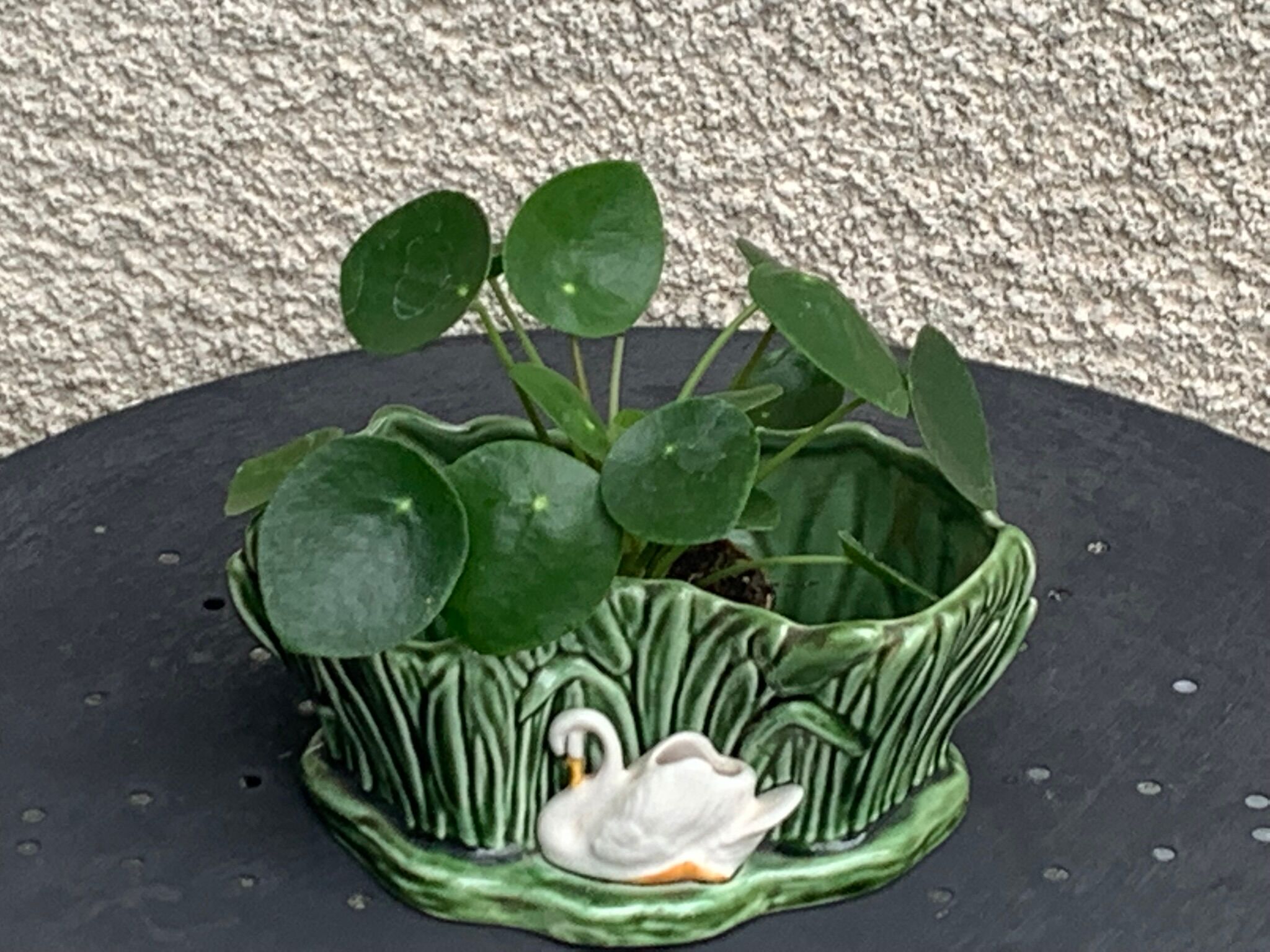 Pot cover in ceramic slurry glazed green pattern foliage and swan made in england numbered