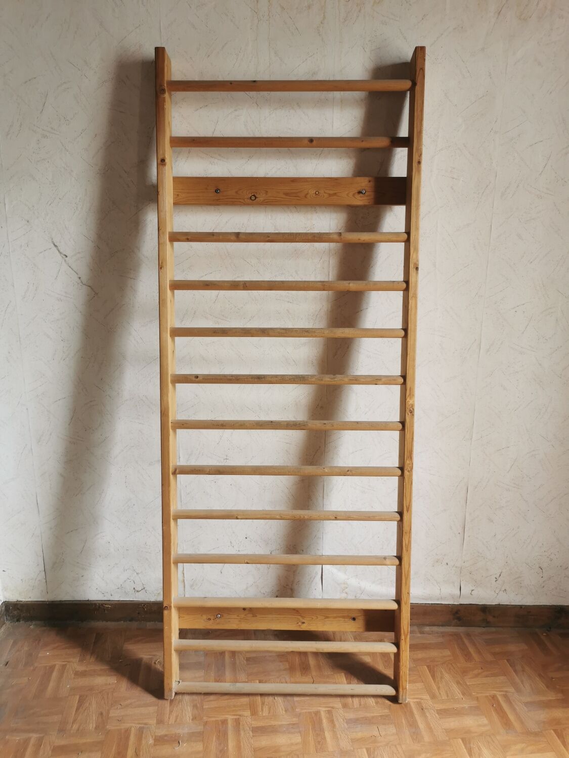 Wooden gymnastics spaniel