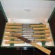 12-piece knives set Dellac Vierzon